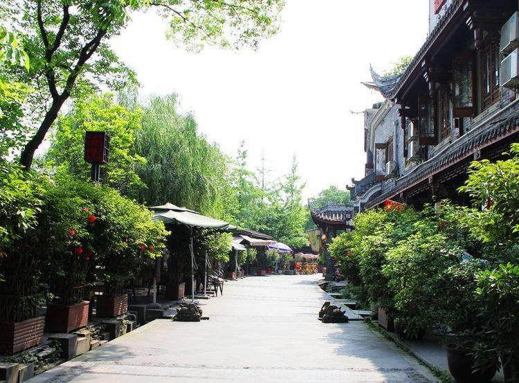 探索知识星球平台,掉头发厉害什么原因?引领未来智慧分享